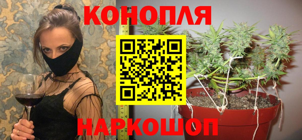 Шишки марихуана Amnesia Минусинск